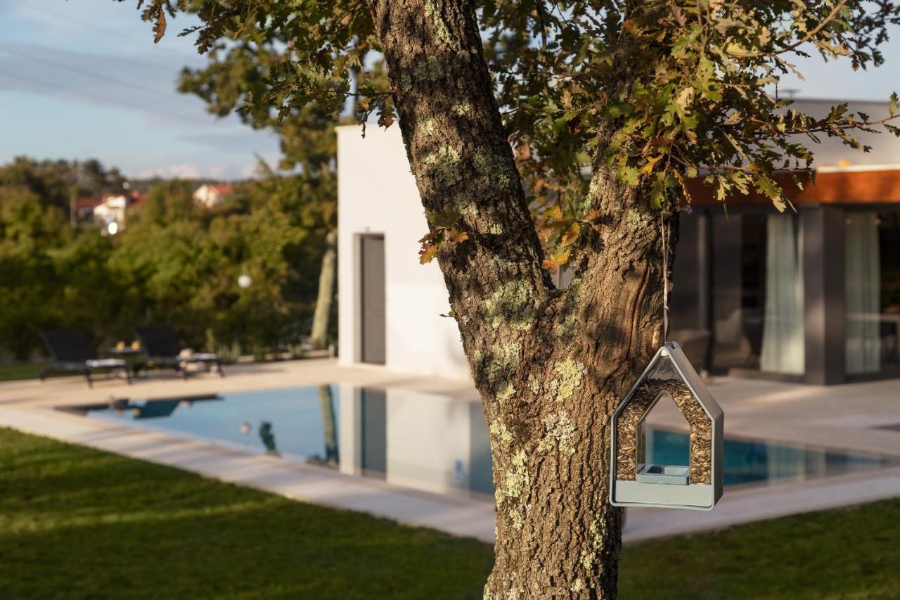 Villa Eos Sveti Petar u Sumi エクステリア 写真